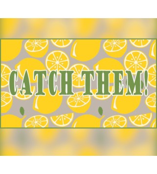 Catch them! Steam Key GLOBAL